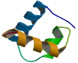 Transcriptional Activator Myb (c-Myb)