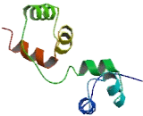 V-Myb Myeloblastosis Viral Oncogene Homolog Like Protein 1 (MYBL1)