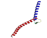 V-Myc Myelocytomatosis Viral Oncogene Homolog (MYC)