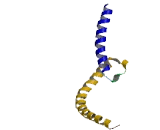 V-Myc Myelocytomatosis Viral Oncogene Homolog 2 (MYCL2)