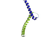 V-Myc Myelocytomatosis Viral Related Oncogene, Neuroblastoma Derived (MYCN)