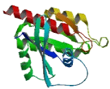 V-Ral Simian Leukemia Viral Oncogene Homolog B (RALB)