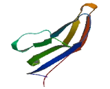 V-Set And Immunoglobulin Domain Containing Protein 2 (VSIG2)