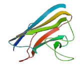 V-Set And Transmembrane Domain Containing Protein 4 (VSTM4)