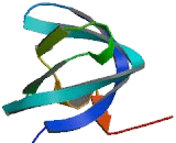 V-Yes-1 Yamaguchi Sarcoma Viral Related Oncogene Homolog (LYN)