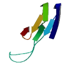 VEGF Co Regulated Chemokine 1 (VCC1)