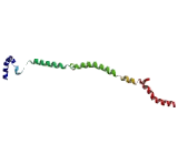 VGF Nerve Growth Factor Inducible (VGF)