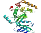 Vaccinia Related Kinase 1 (VRK1)