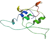 Vacuolar Protein Sorting 13A (VPS13A)