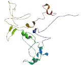 Vacuolar Protein Sorting 13C (VPS13C)