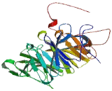 Vacuolar Protein Sorting 16 (VPS16)