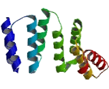 Vacuolar Protein Sorting 18 (VPS18)