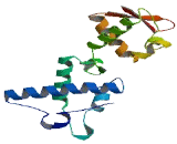 Vacuolar Protein Sorting 25 (VPS25)