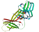 Vacuolar Protein Sorting 26A (VPS26A)