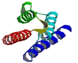 Vacuolar Protein Sorting 28 (VPS28)