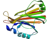 Vacuolar Protein Sorting 29 (VPS29)