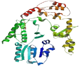 Vacuolar Protein Sorting 33A (VPS33A)