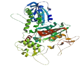 Vacuolar Protein Sorting 33B (VPS33B)