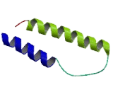 Vacuolar Protein Sorting 37B (VPS37B)