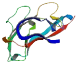 Vacuolar Protein Sorting 37C (VPS37C)