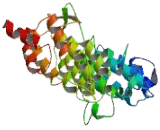 Vacuolar Protein Sorting 39 (VPS39)