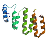 Vacuolar Protein Sorting 41 (VPS41)