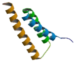 Vacuolar Protein Sorting 4A (VPS4A)