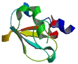 Vacuolar Protein Sorting 52 (VPS52)