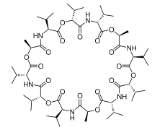 Valinomycin (VN)