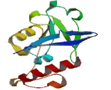 Valyl tRNA Synthetase (VARS)