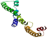 Variable Charge, X-Linked (VCX)