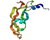 Vascular Endothelial Growth Factor F (VEGFF)