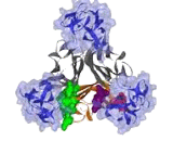 Vedolizumab (VDZ)