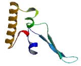 Vertebrate Lonesome Kinase (Vlk)