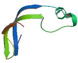 Vesicle Amine Transport Protein 1 Like Protein (VAT1L)