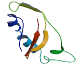 Vesicular Acetylcholine Transporter (VAChT)