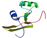 Visual Pigment Like Receptor Peropsin (RRH)