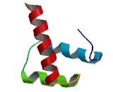 Visual System Homeobox Protein 2 (VSX2)