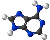 Vitamin D4 (VD4)