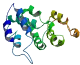 Vitamin K Epoxide Reductase Complex Subunit 1 Like Protein 1 (VKORC1L1)