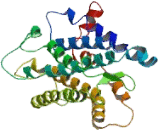 Vomeronasal 1 Receptor 2 (VN1R2)