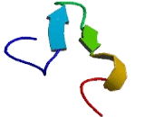 Von Willebrand Factor A Domain Containing Protein 2 (vWA2)