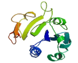 Von Willebrand Factor A Domain Containing Protein 5A (vWA5A)