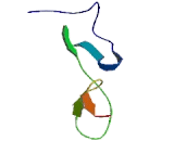 Von Willebrand Factor C Domain Containing Protein 2 (vWC2)