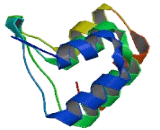 Vps9 Domain And Ankyrin Repeat Containing Protein (VARP)