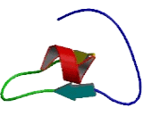 WAP Four Disulfide Core Domain Protein 10B (WFDC10B)