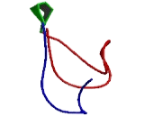 WAP Four Disulfide Core Domain Protein 11 (WFDC11)