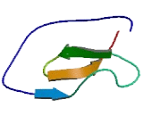 WAP Four Disulfide Core Domain Protein 12 (WFDC12)