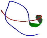 WAP Four Disulfide Core Domain Protein 3 (WFDC3)