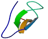 WAP Four Disulfide Core Domain Protein 5 (WFDC5)